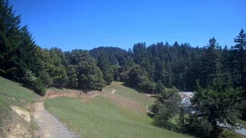 WP_20150430_14_50_38_Pro